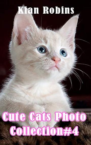 Cute Cats Photos Collection#4